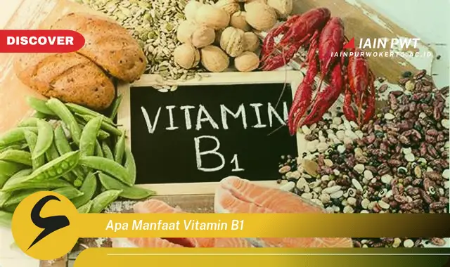 apa manfaat vitamin b1