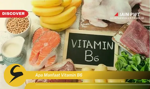 apa manfaat vitamin b6