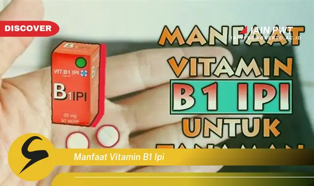 manfaat vitamin b1 ipi