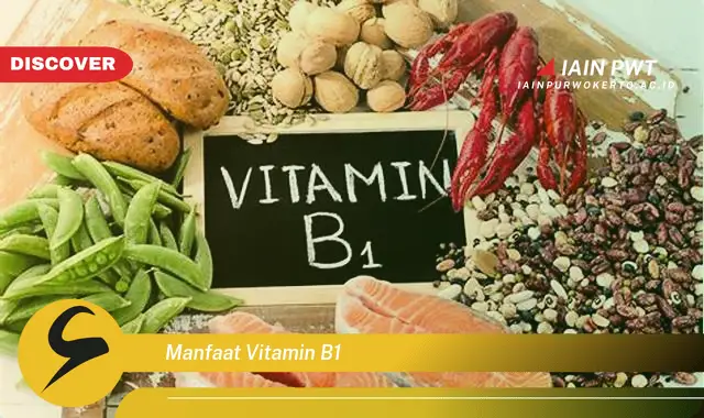 manfaat vitamin b1