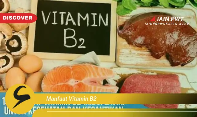 manfaat vitamin b2