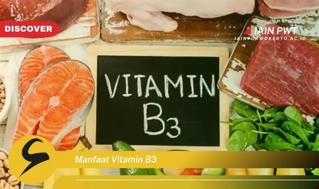 manfaat vitamin b3