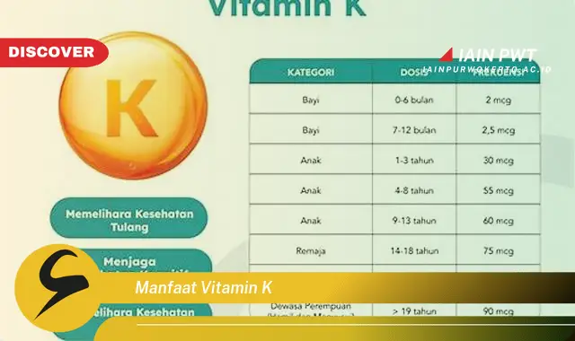 manfaat vitamin k