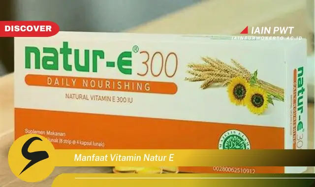 manfaat vitamin natur e