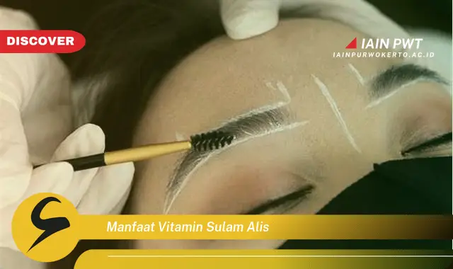 manfaat vitamin sulam alis