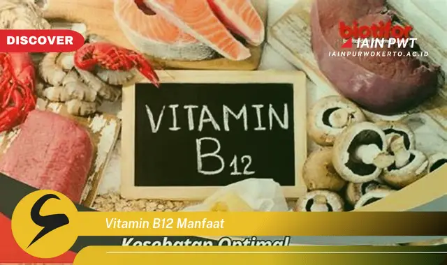 vitamin b12 manfaat