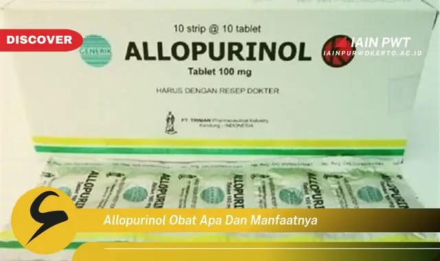 allopurinol obat apa dan manfaatnya