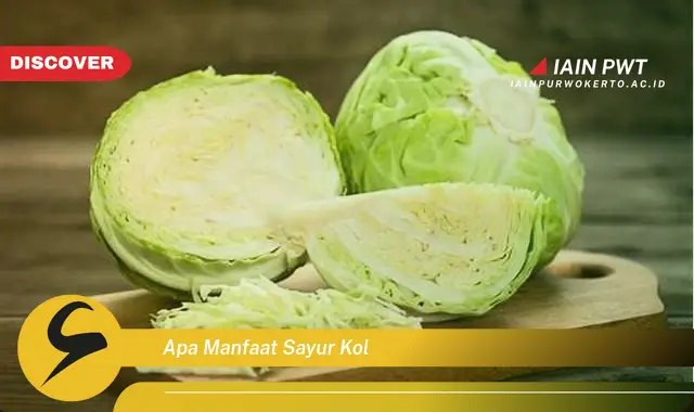 apa manfaat sayur kol