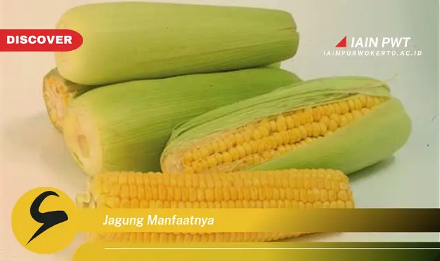 jagung manfaatnya