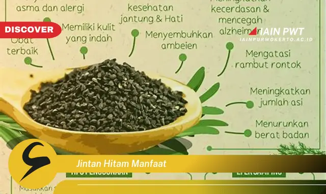 jintan hitam manfaat