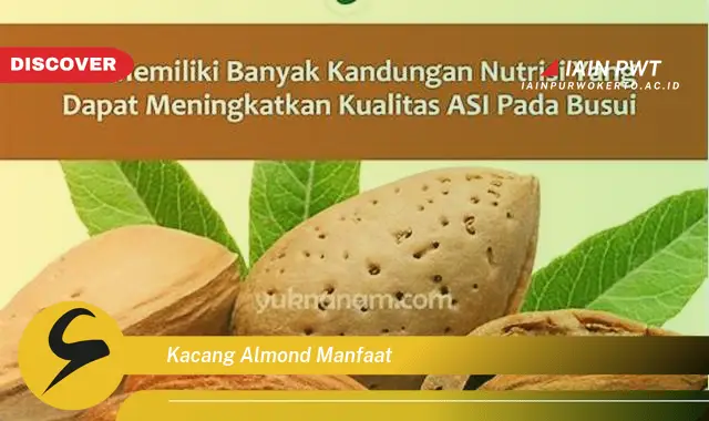 kacang almond manfaat