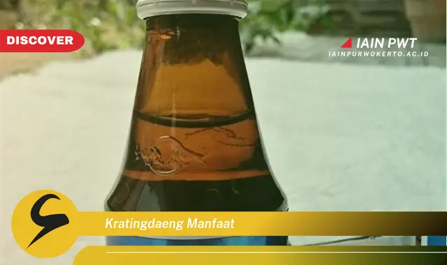 kratingdaeng manfaat