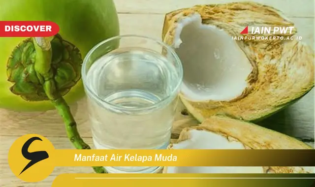 manfaat air kelapa muda