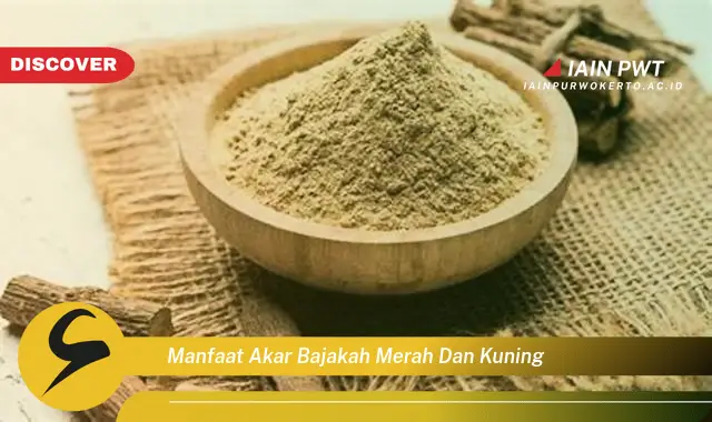 manfaat akar bajakah merah dan kuning