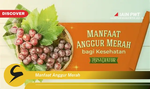 manfaat anggur merah