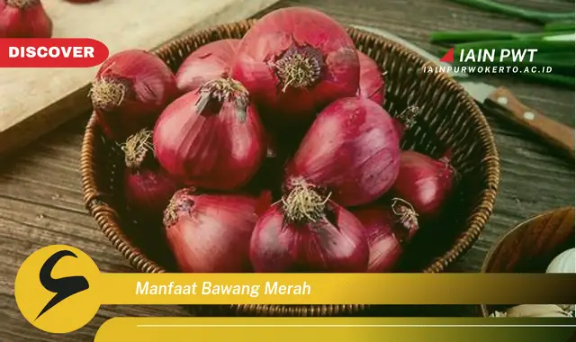 manfaat bawang merah