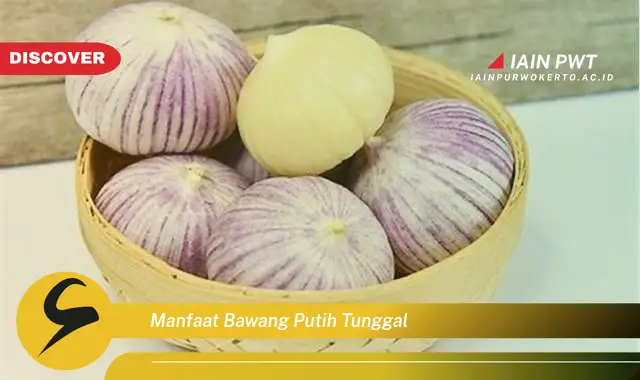 manfaat bawang putih tunggal