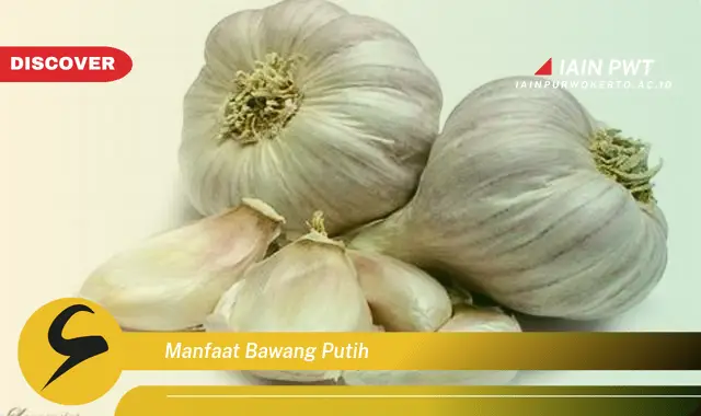 manfaat bawang putih