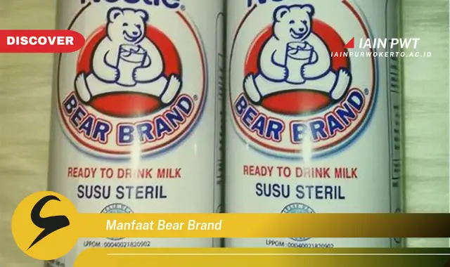 manfaat bear brand