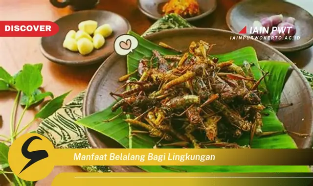 manfaat belalang bagi lingkungan