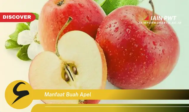 manfaat buah apel