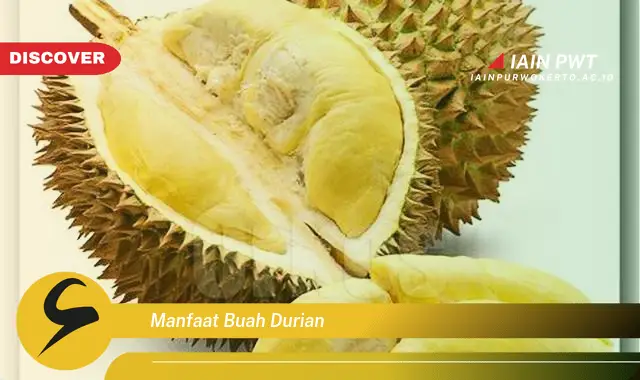 manfaat buah durian