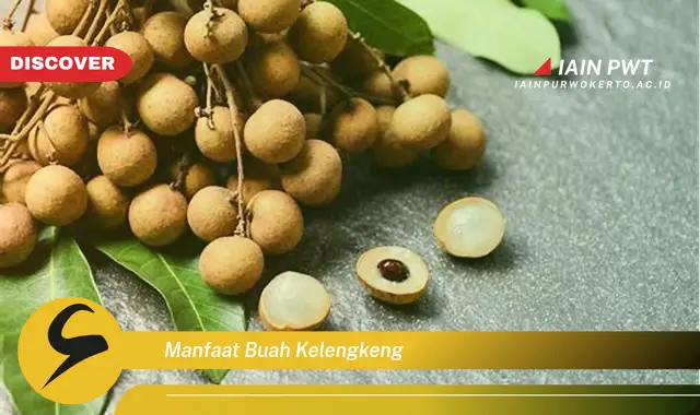 manfaat buah kelengkeng