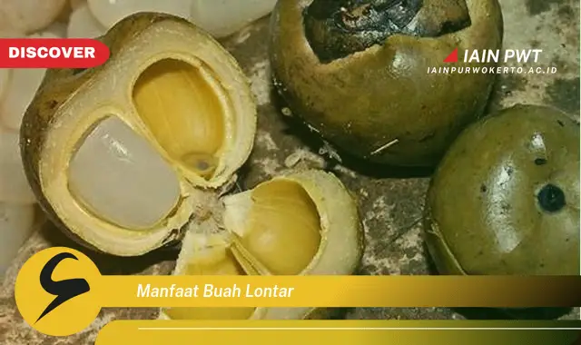 manfaat buah lontar