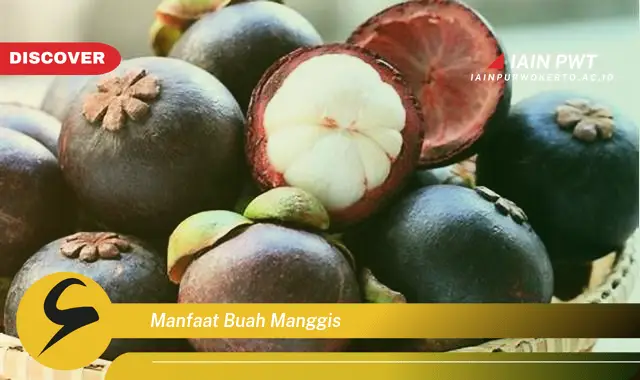 manfaat buah manggis