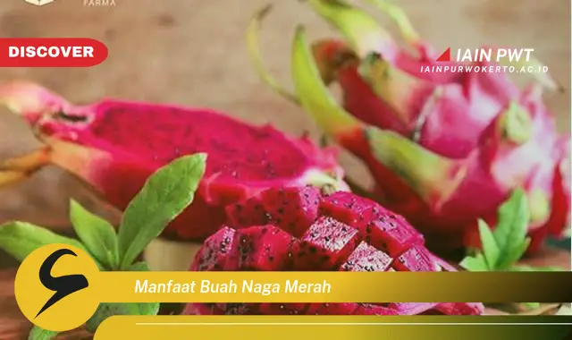 manfaat buah naga merah