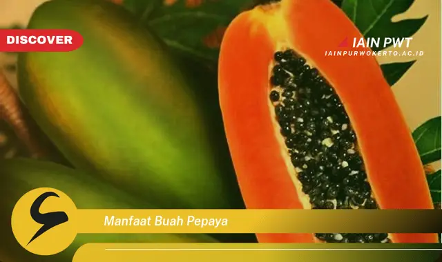 manfaat buah pepaya