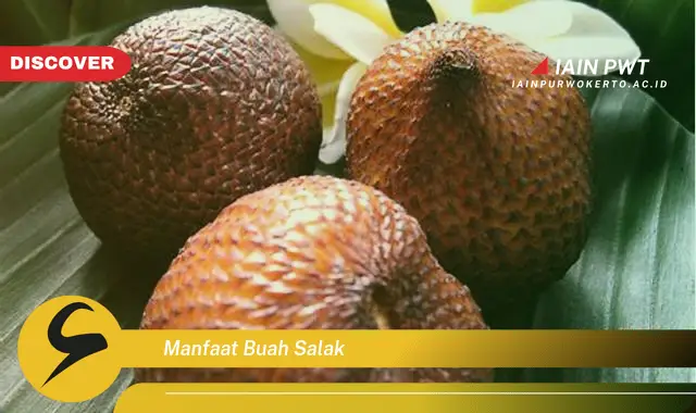 manfaat buah salak