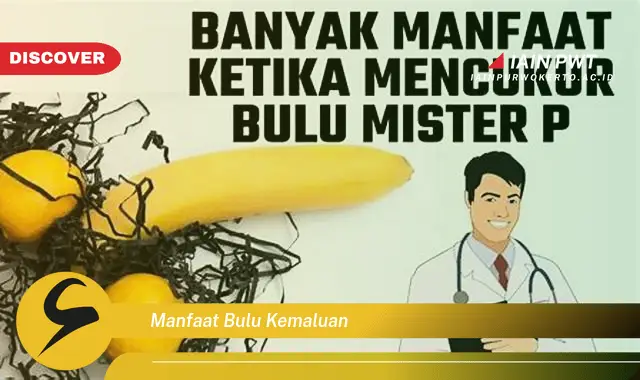 manfaat bulu kemaluan