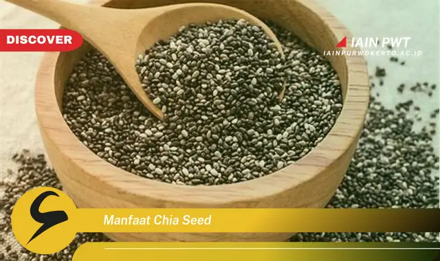 manfaat chia seed