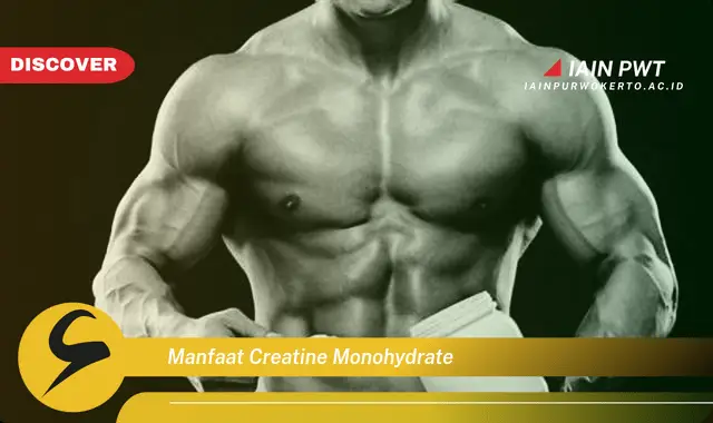 manfaat creatine monohydrate