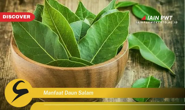 manfaat daun salam