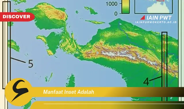 manfaat inset adalah