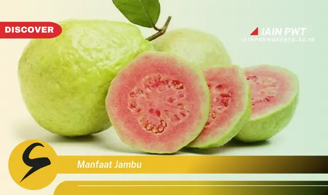 manfaat jambu