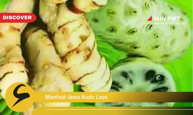 manfaat jamu kudu laos