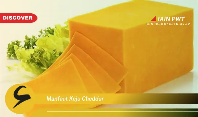 manfaat keju cheddar