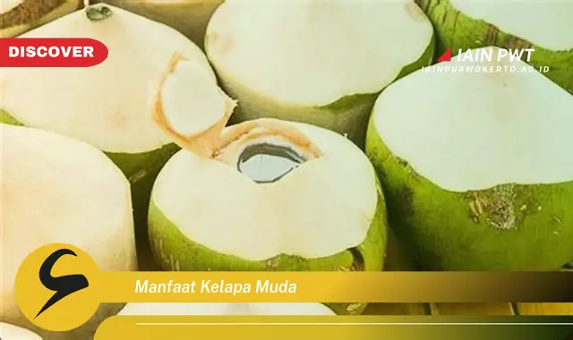 manfaat kelapa muda