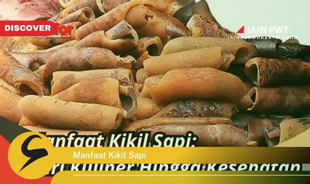 manfaat kikil sapi