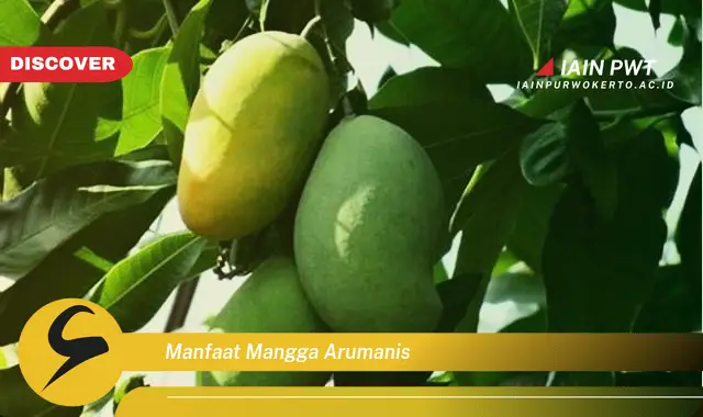 manfaat mangga arumanis