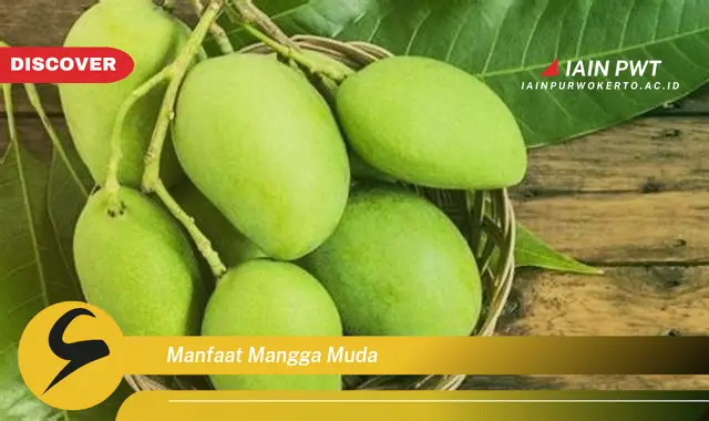 manfaat mangga muda