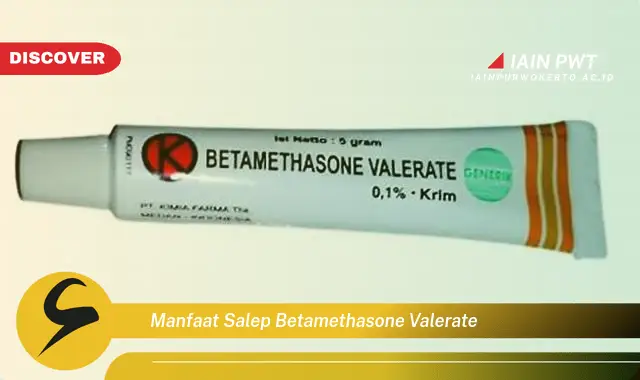 manfaat salep betamethasone valerate