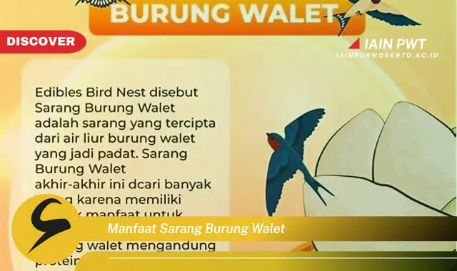 manfaat sarang burung walet