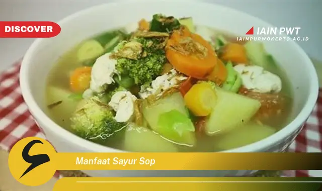 manfaat sayur sop