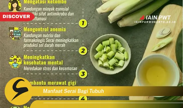 manfaat serai bagi tubuh