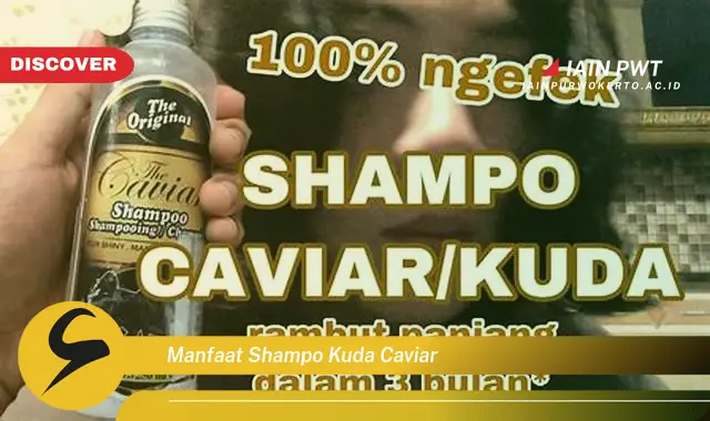 manfaat shampo kuda caviar