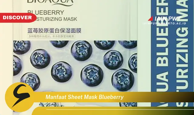 manfaat sheet mask blueberry